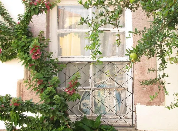 Eolos House Cunda 3*